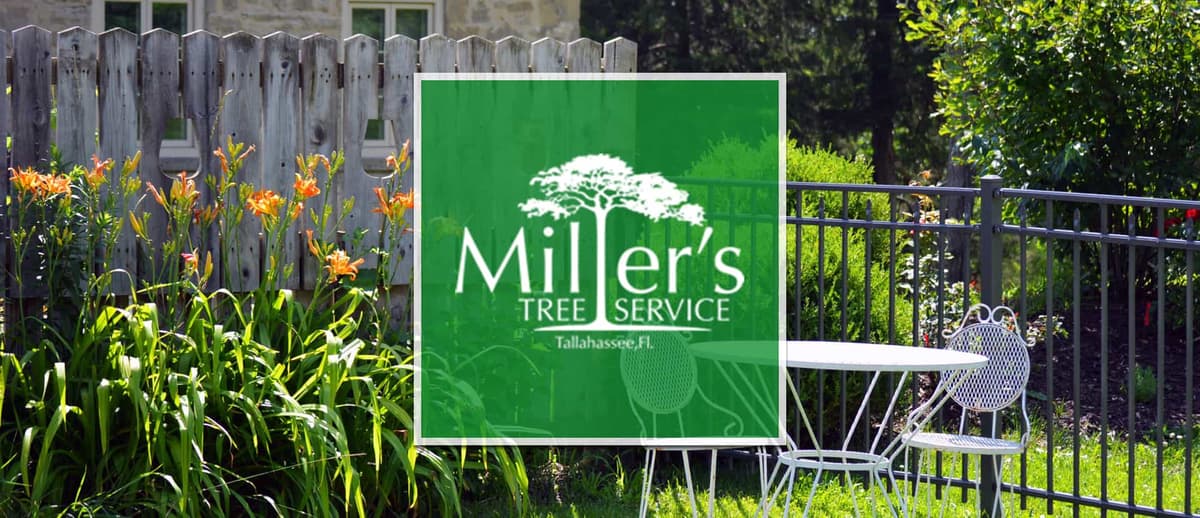 Beautifying Your Yard