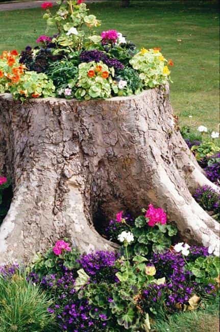 Creative DIY Tree Stump Planter