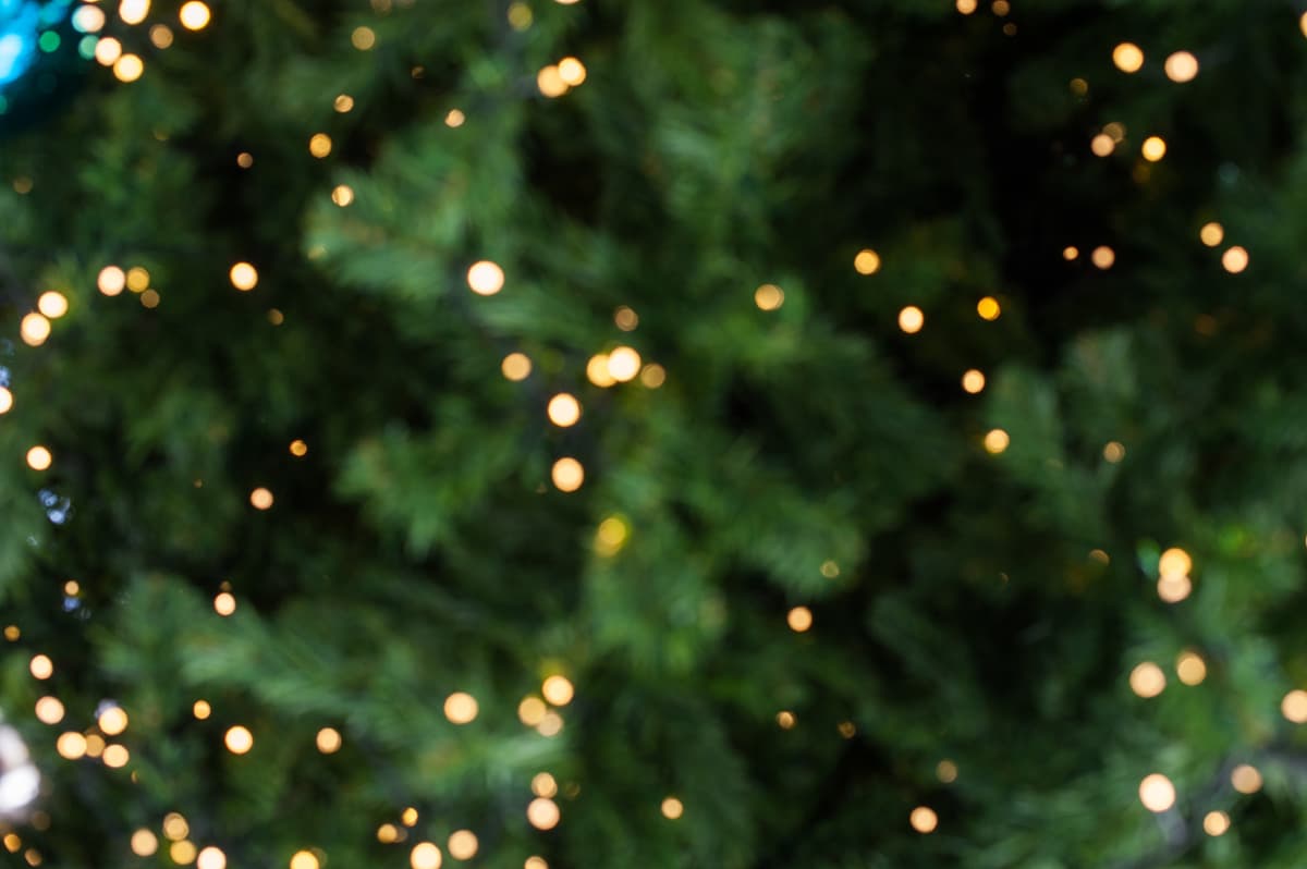 The History of the Christmas Tree