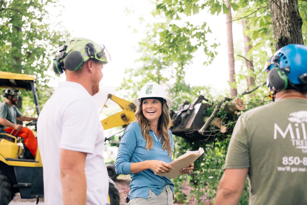 How Much Does Tree Removal Cost in Tallahassee?