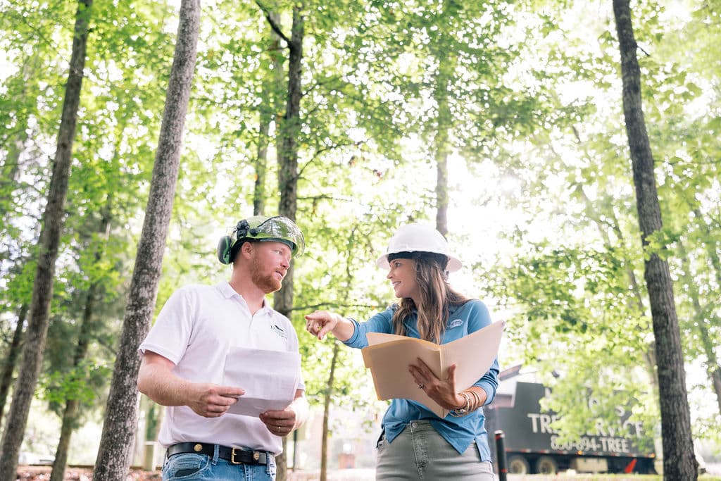 How to Spot a Hazardous Tree Before It Becomes a Problem