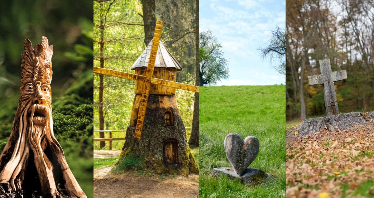 Save the Tree Stump: Artistic and Functional Uses for Your Yard