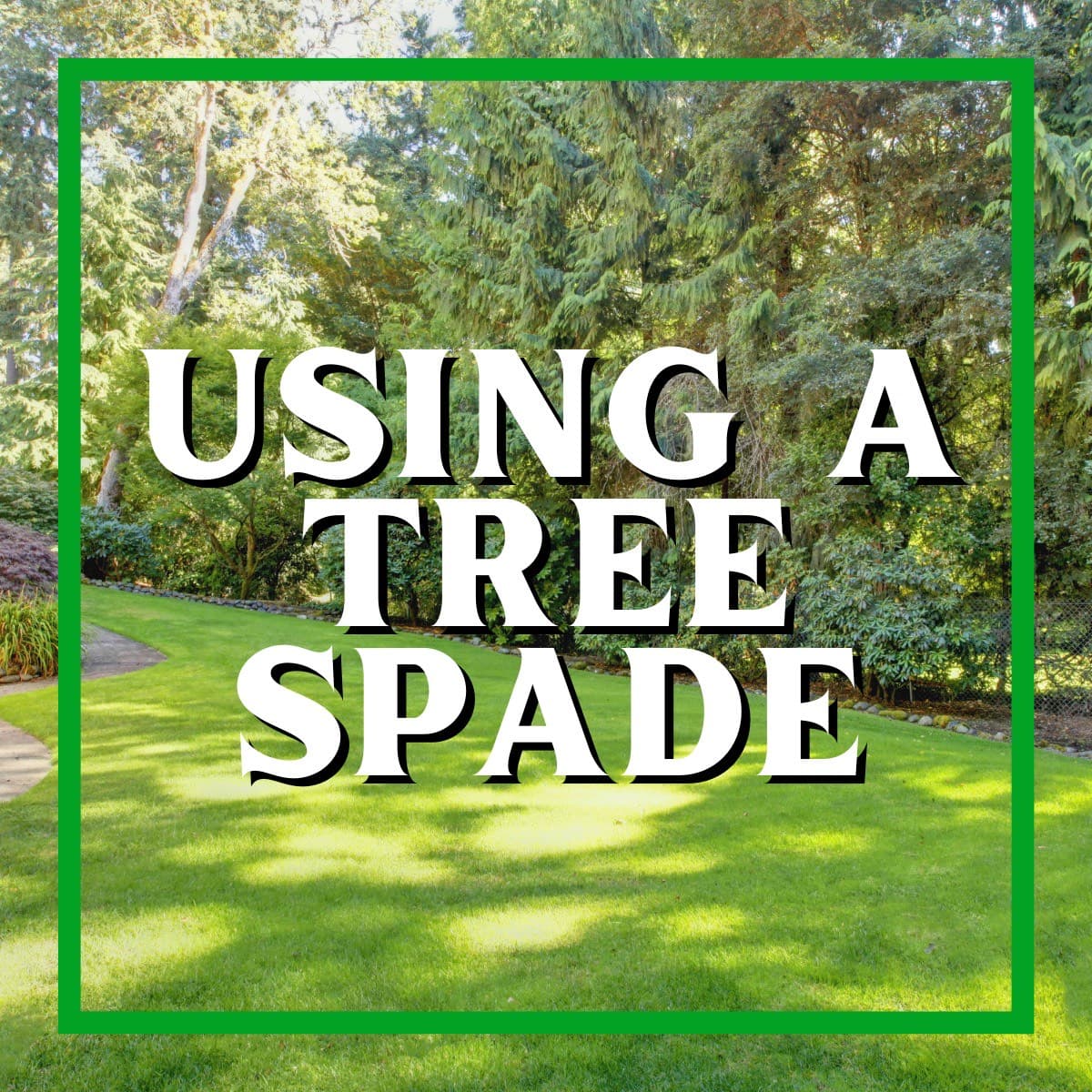 Using a Tree Spade to Preserve Your Favorite Tree