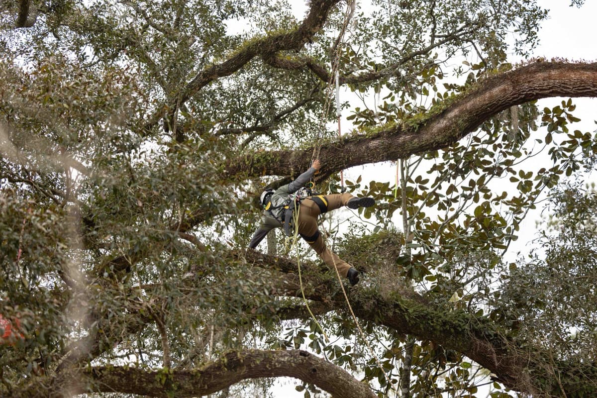 Miller's Annual Climbing Competition