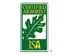 ISA Certified Arborist