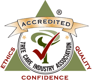 TCIA Accredited
