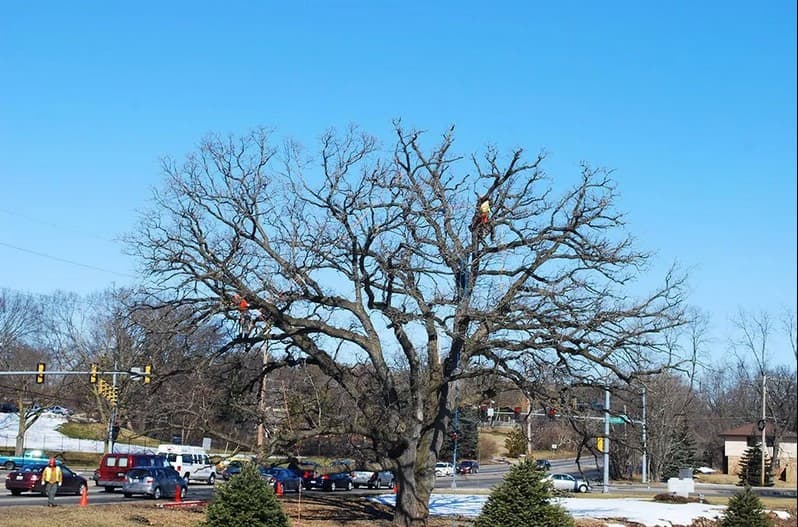 House Call: A 250-Year-Old Patient