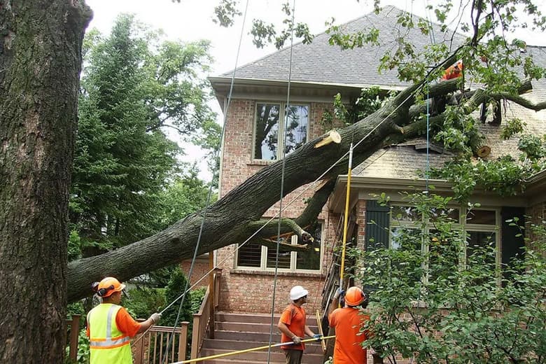 Perfect Storm, Perfect Solution