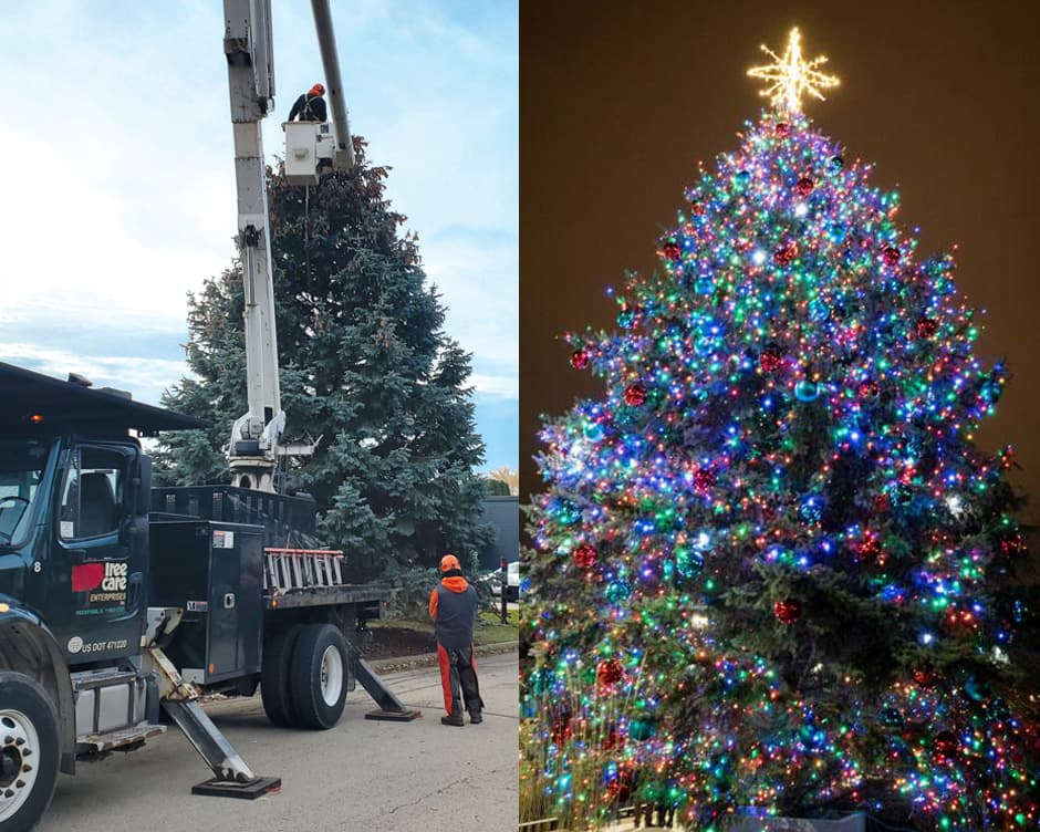 Rockford's Christmas Tree: The Tradition Continues