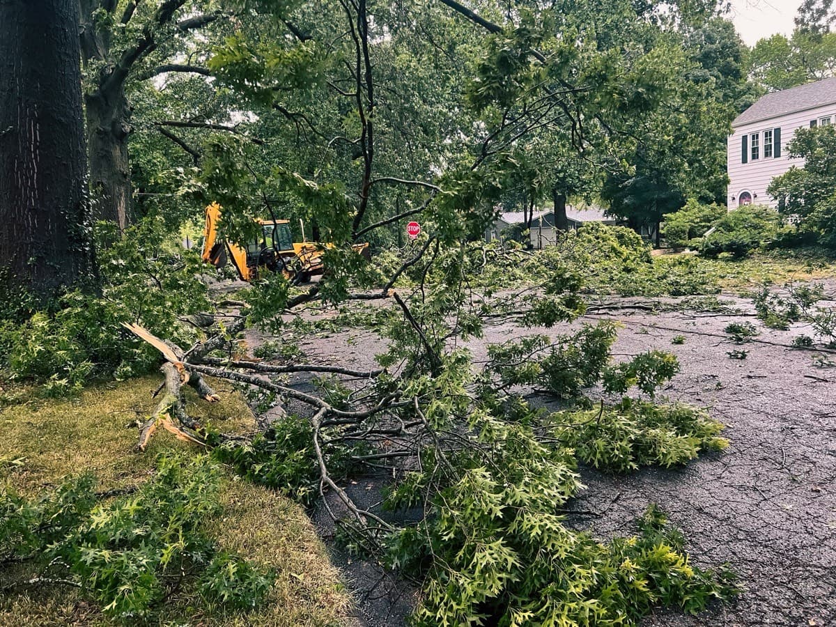 24-Hour Emergency Tree Services service by Miller's Tree Service in Tallahassee