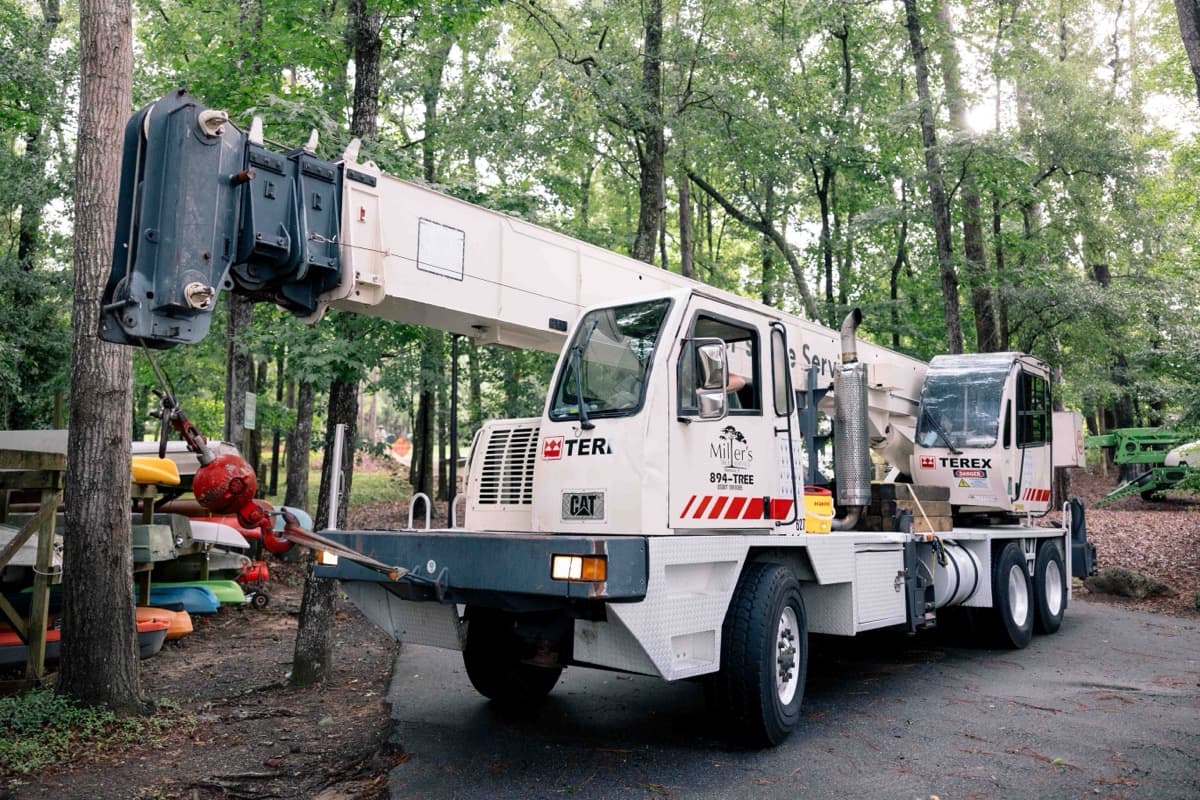 Storm Prep Tree Services service by Miller's Tree Service in Tallahassee