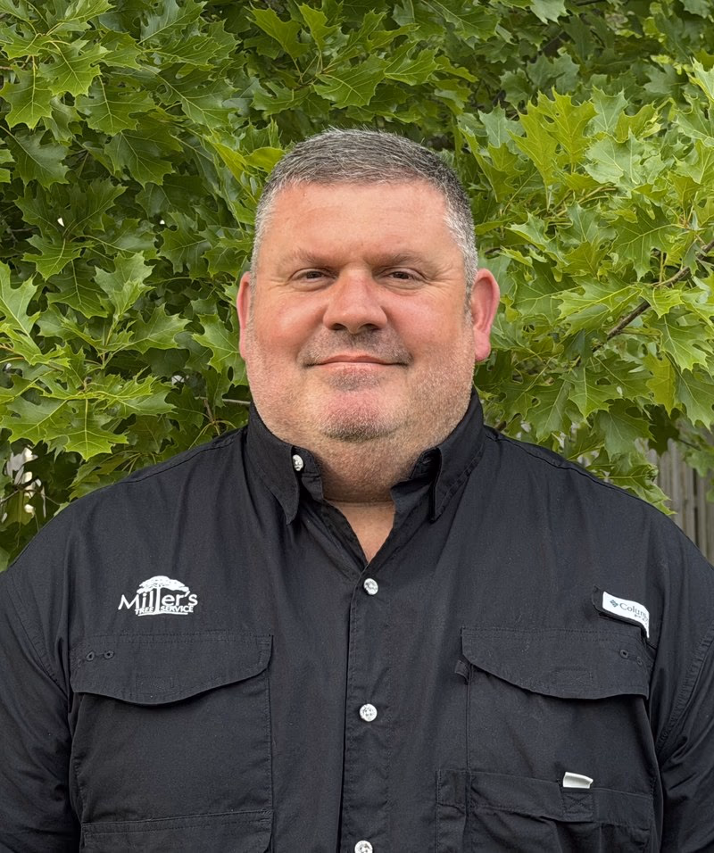 Ben Rankin, Sales Arborist at Miller's Tree Service